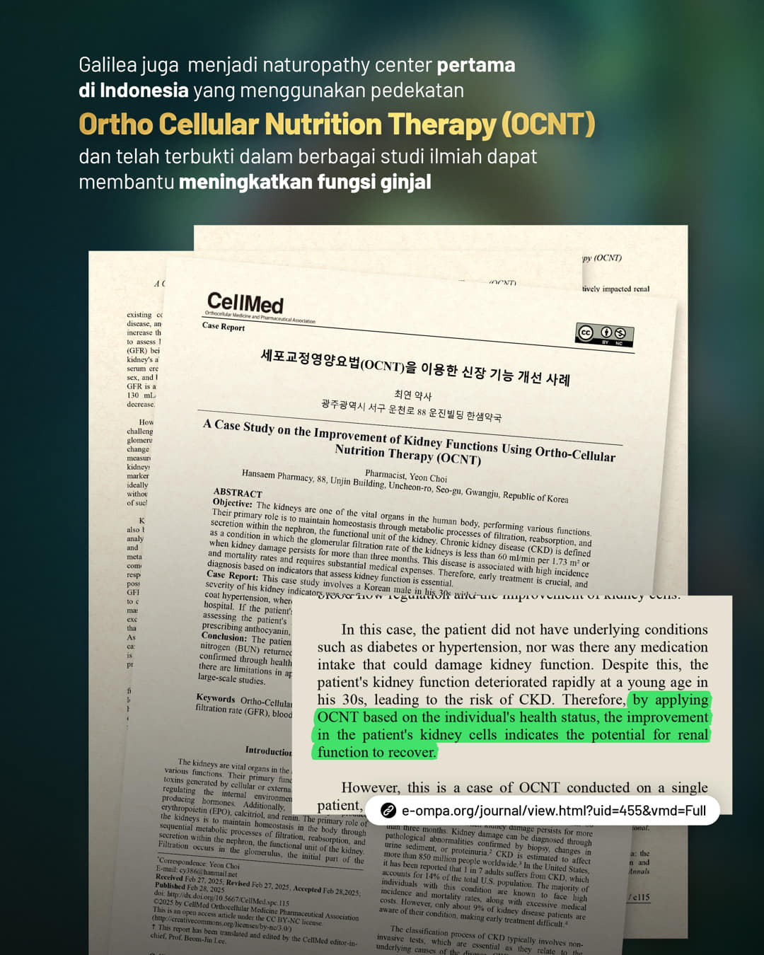 Feed 2 - Slide 6