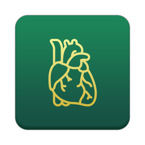 Program kesehatan kardiovaskular Galilea Naturopathy Center